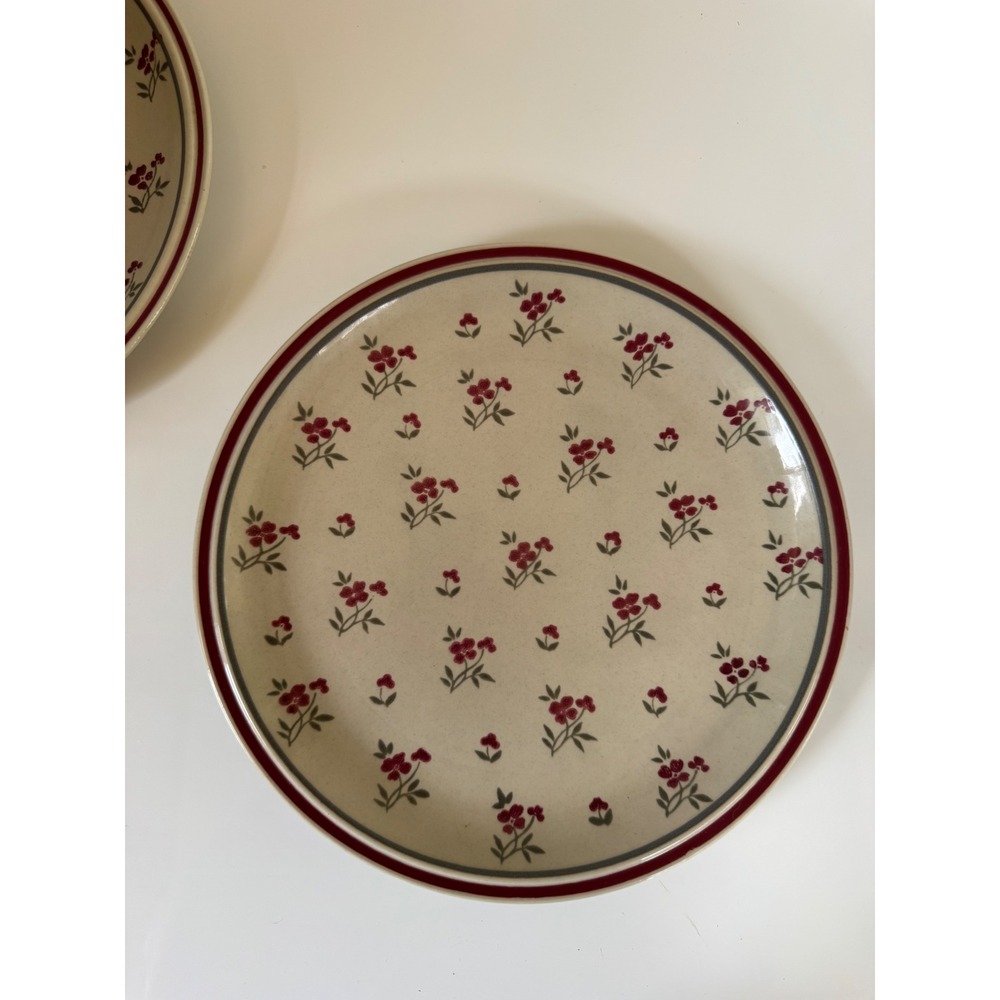 Newcor Stoneware Cambridge Dinner Plates Set of 2 Red Floral Japan Vintage